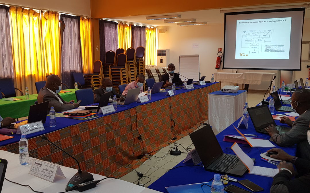 Training 20 BNETD technicians on methods and tools for analyzing socio-economic and agricultural data