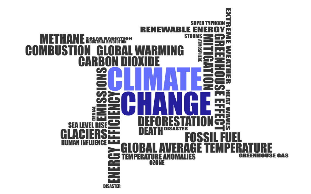 Survey on the perception and adaptation of rural communities to climate change in south-west of Ivory Coast